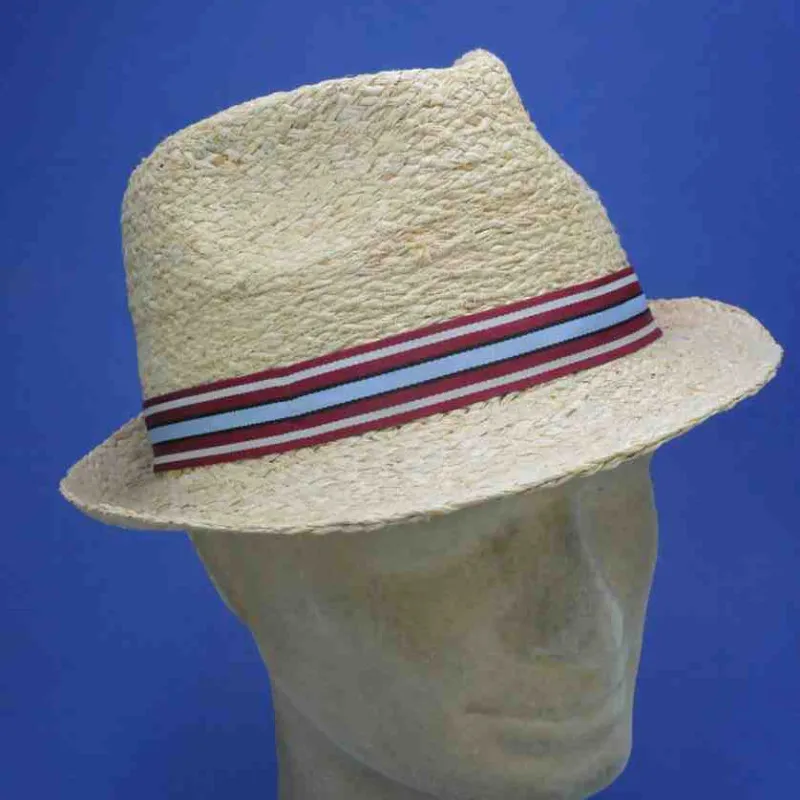 Chapeau Trilby STETSON en raphia | Chapeau d'été mixte